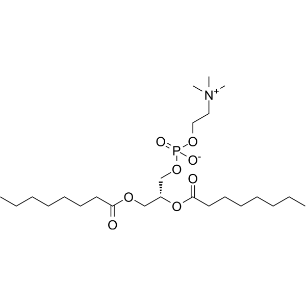 1,2-Dioctanoyl-sn-glycero-3-phosphocholine 19191-91-4